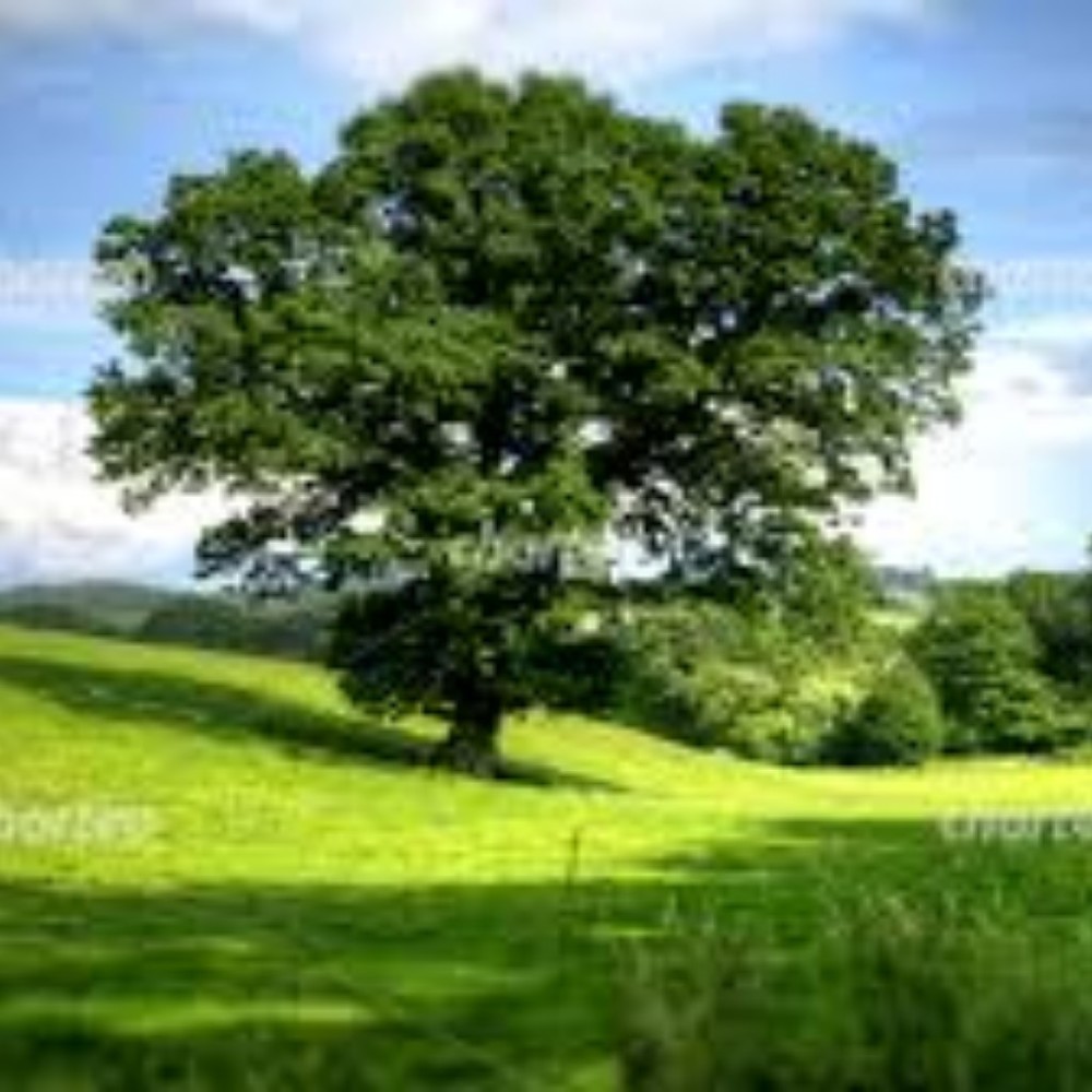 Meet your Posher, Shelia